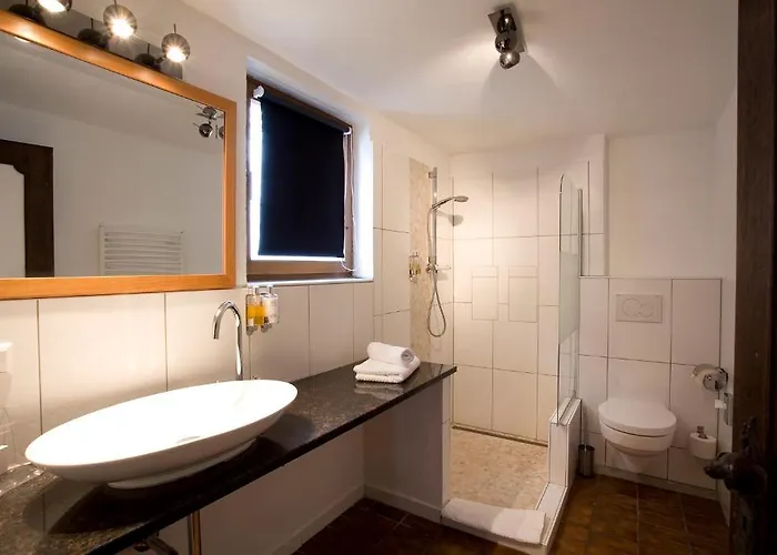 Hotel Traube Naehe Messe 3*