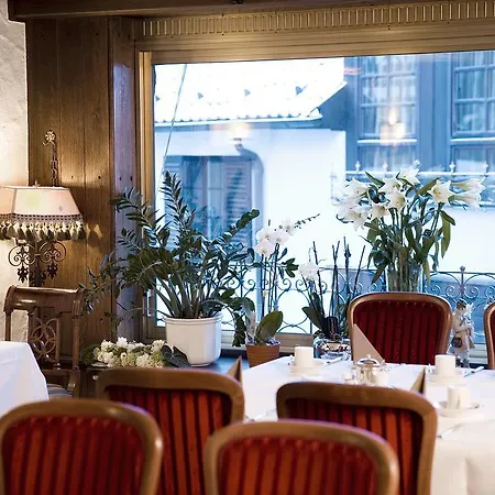 Traube Hotel 3*